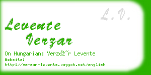 levente verzar business card